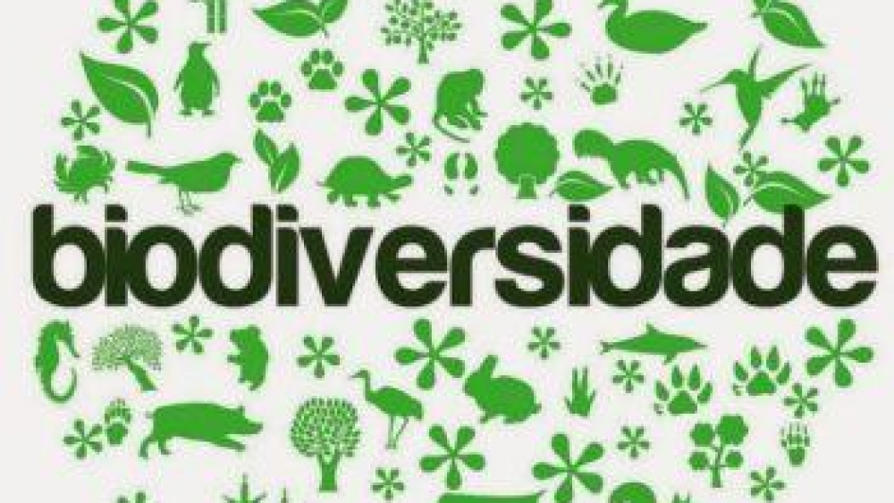 biodiversidade