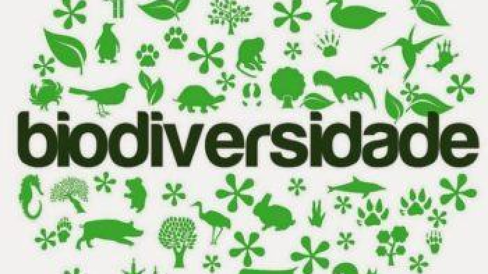 biodiversidade