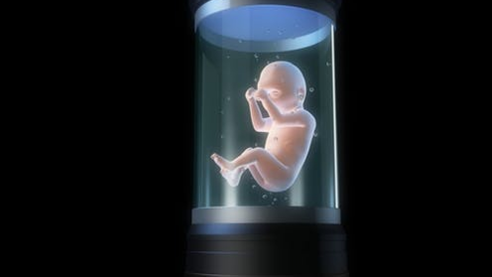 bebes utero