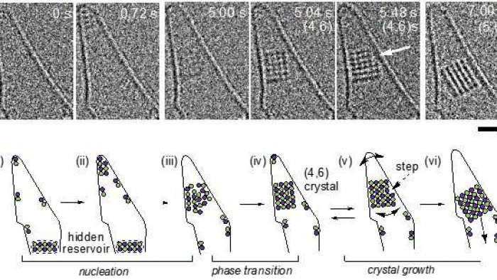 crystalclose