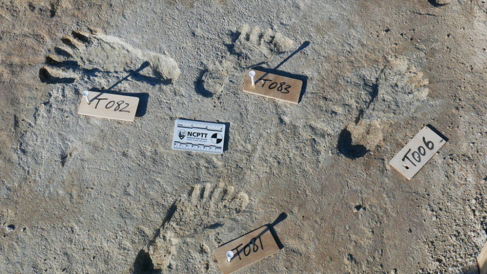 footprint
