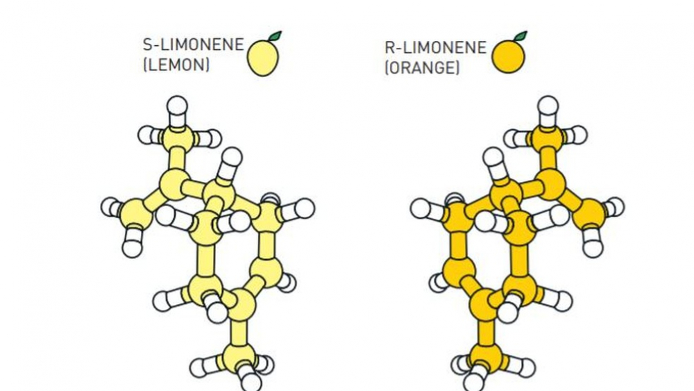 popular-chemistry2021-figure2