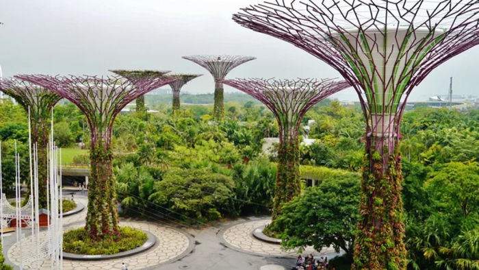 solar trees