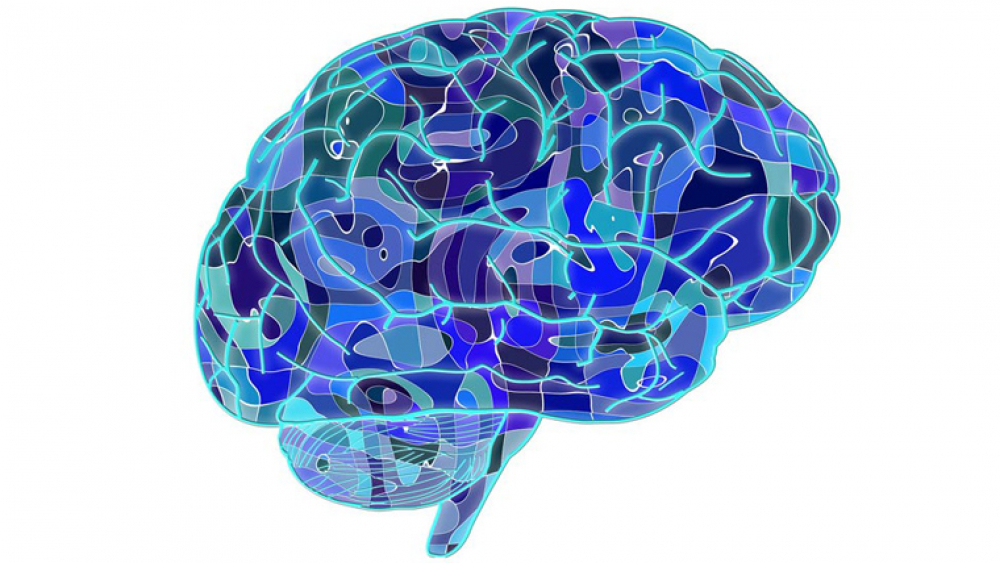 2 brain-neural-human-body