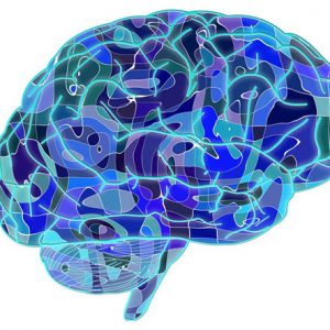 2 brain-neural-human-body