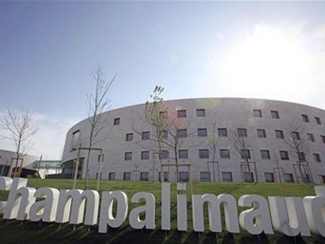champalimaud 2