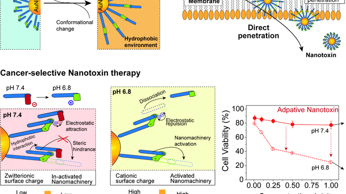 1 Nanomachine-Molecular-Machinery-System