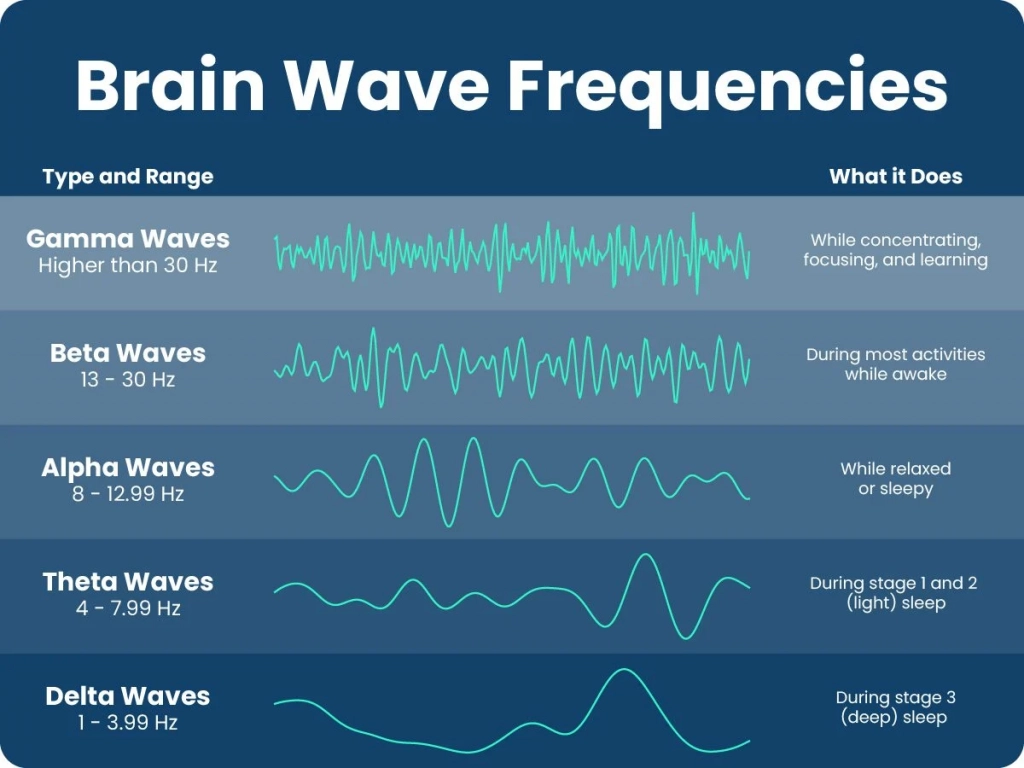 brain waves