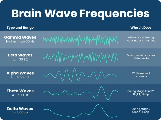 brain waves