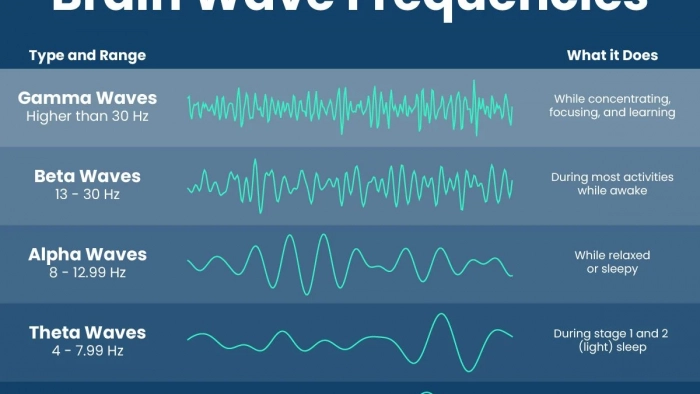 brain waves