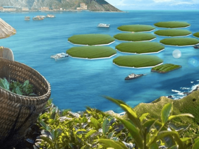 agricultura oceanica