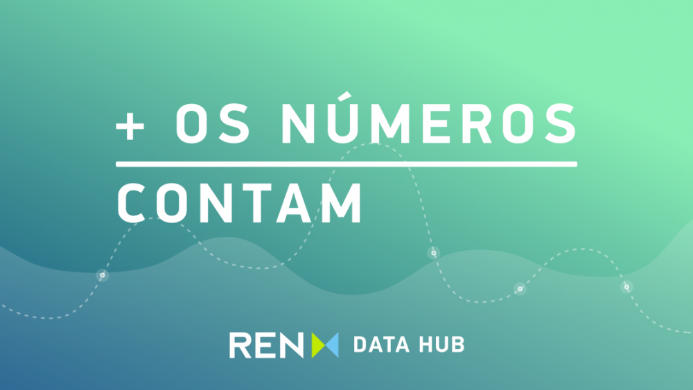 ren_data_hub_numeros_contam_pt