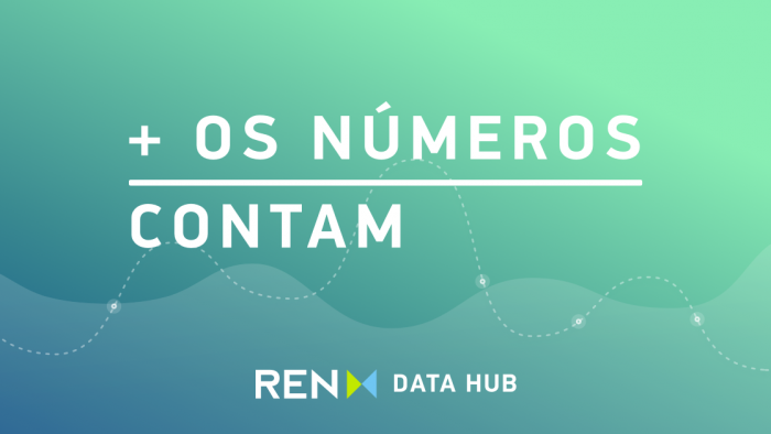 ren_data_hub_numeros_contam_pt